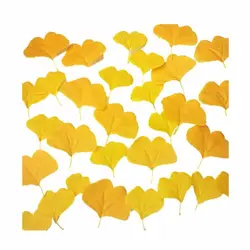 100PCS Artificail Ginkgo Leaves Yellow Faux Falling Leaf Autumn Atmosphere Home Decoration Party Supplies Photo Props