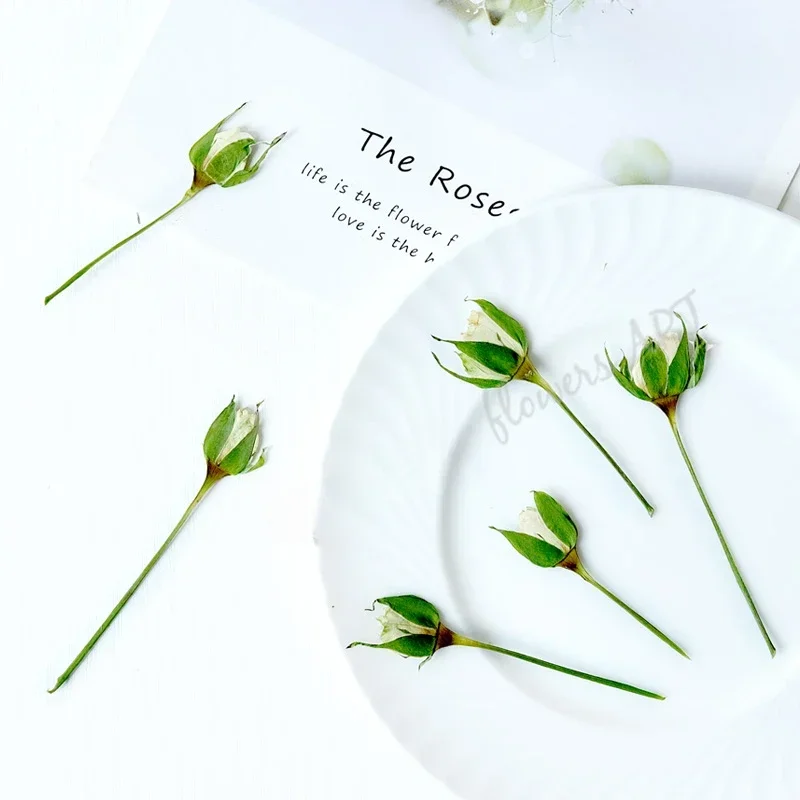 Pressed rose Bud flower core dry flower DIY plant photo frame handmade Epoxy aromatherapy bookmark drip glue phone case,12pcs