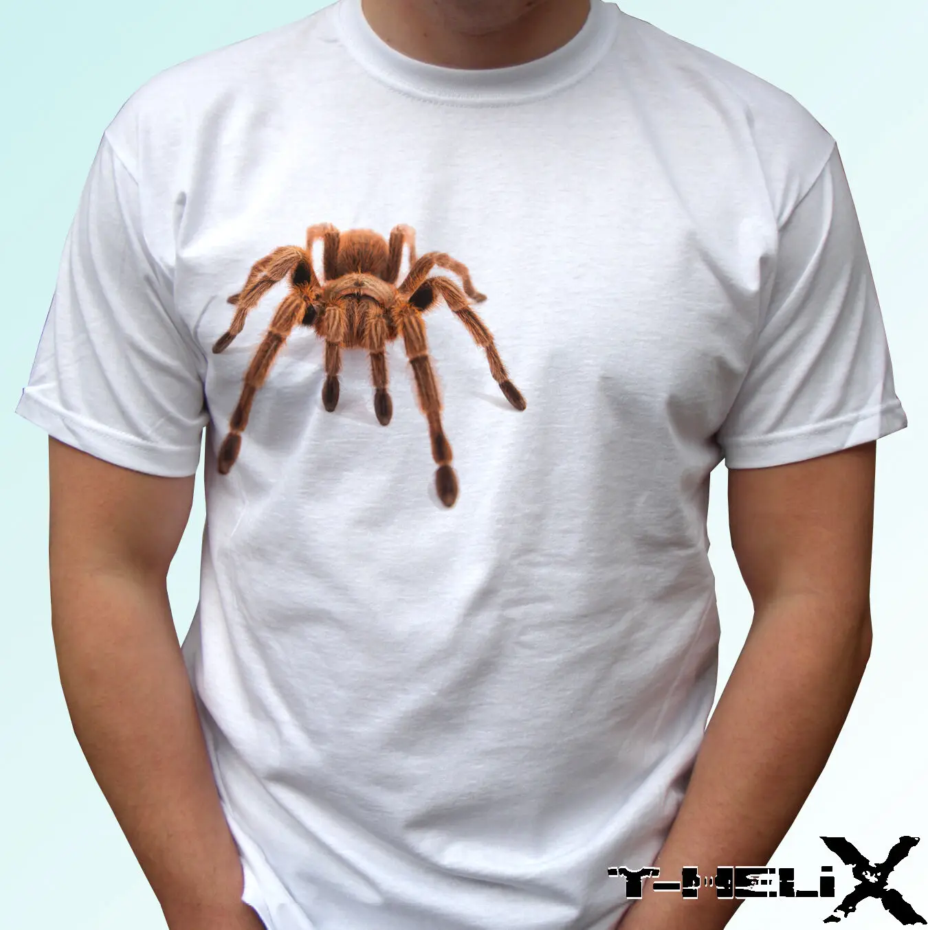 

Spider Tarantula white t shirt Halloween top animal design 100% cotton