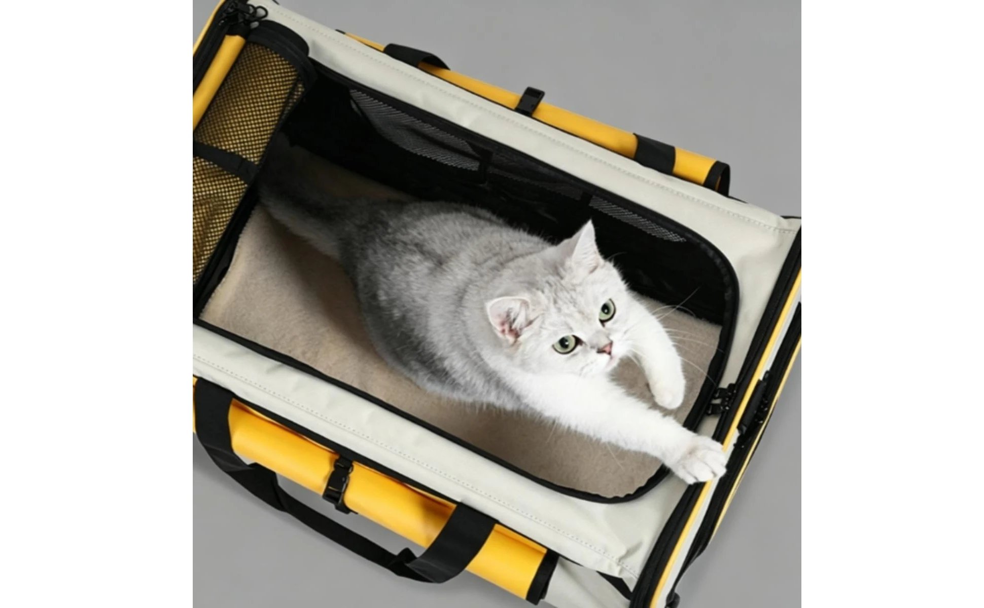Collapsible Pet Trolley Carrier Zipper Openings Soft-Sided Pet Trolley Top Carry Handles Breathable