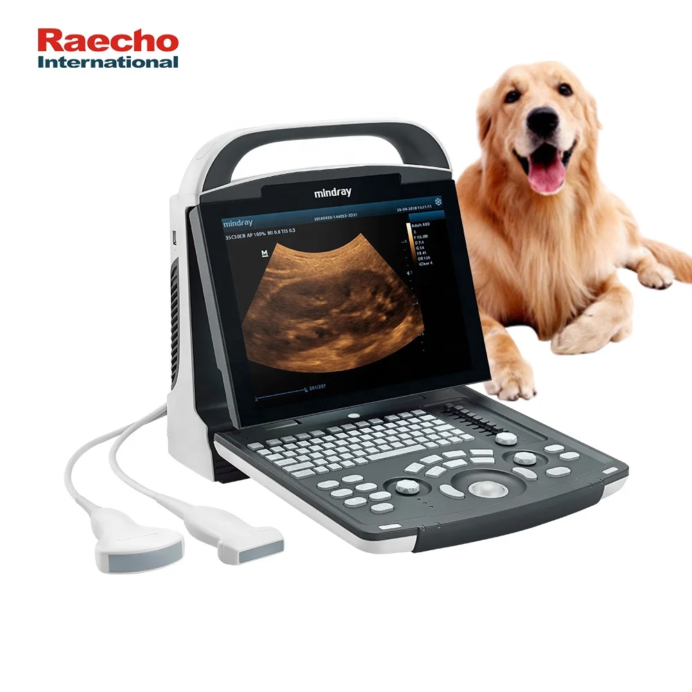 Mindray Digital Veterinary Ultrasound Machine DP-10Vet B/W System