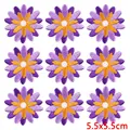 PE10515CT