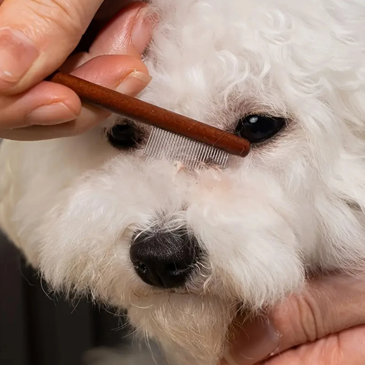Pet Facial Cleaning Comb Removes Tear Stains Eye-poop Comb Dog Hair Repair Scissors Cat Hair Comb Pet Clean Supplies Accessories