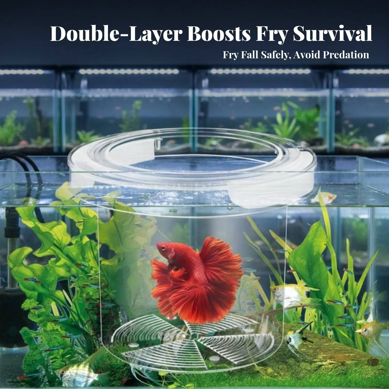 

Guppy Breeder Box Double-Tier-Tier Design Aquatic Habitat Separation Box Buoyant Aquatic Pet Hatchery Suction Holder Mount