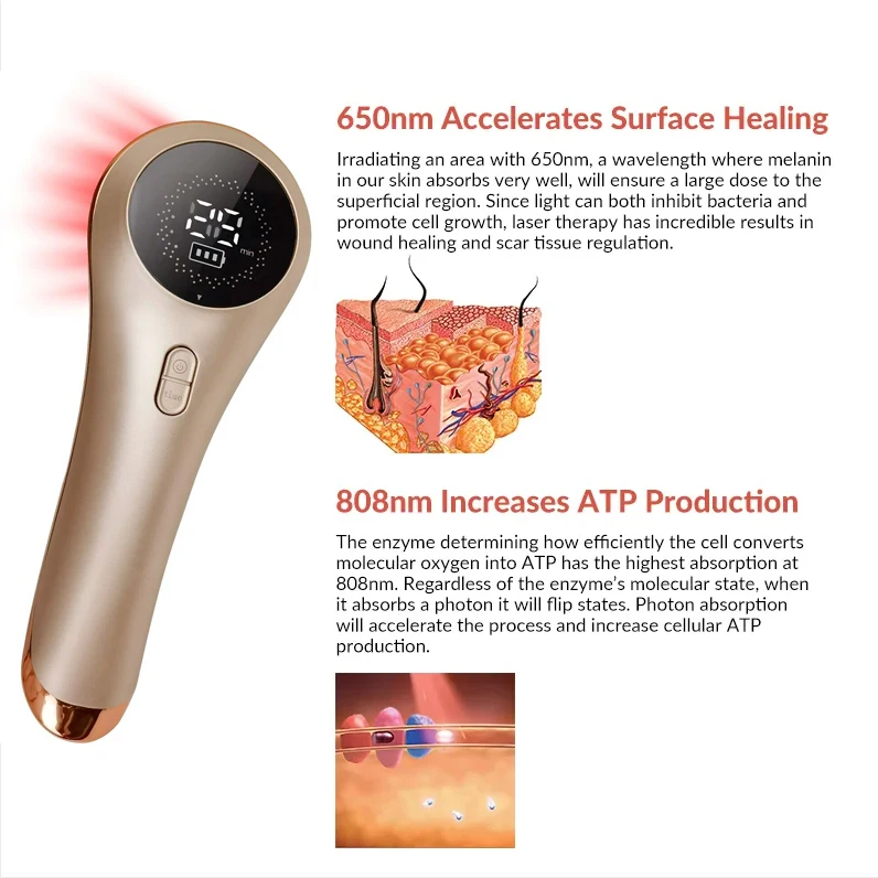 Handheld Veterinary Equine Cold Laser Therapy Device Wound Healing Arthritis Treatment Horse Medical Equipment