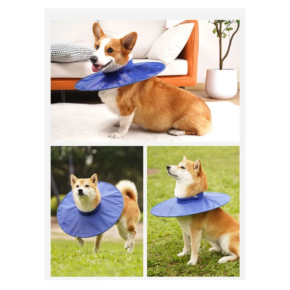 Waterproof Dog Neck Guard Multi Sizes Royal Blue Cat Recovery Cone Lightweight Cone Shaped Pet Head Guard Wound Protection