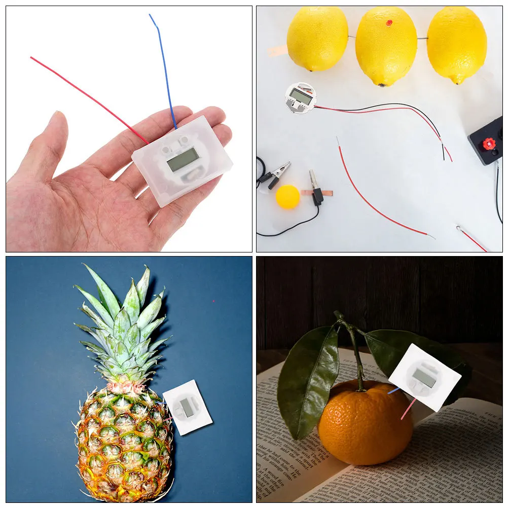 

2 комплекта DIY фруктовый научный эксперимент комплект студенческий физический проект набор для изготовления картофельных часов образовательный научный проект