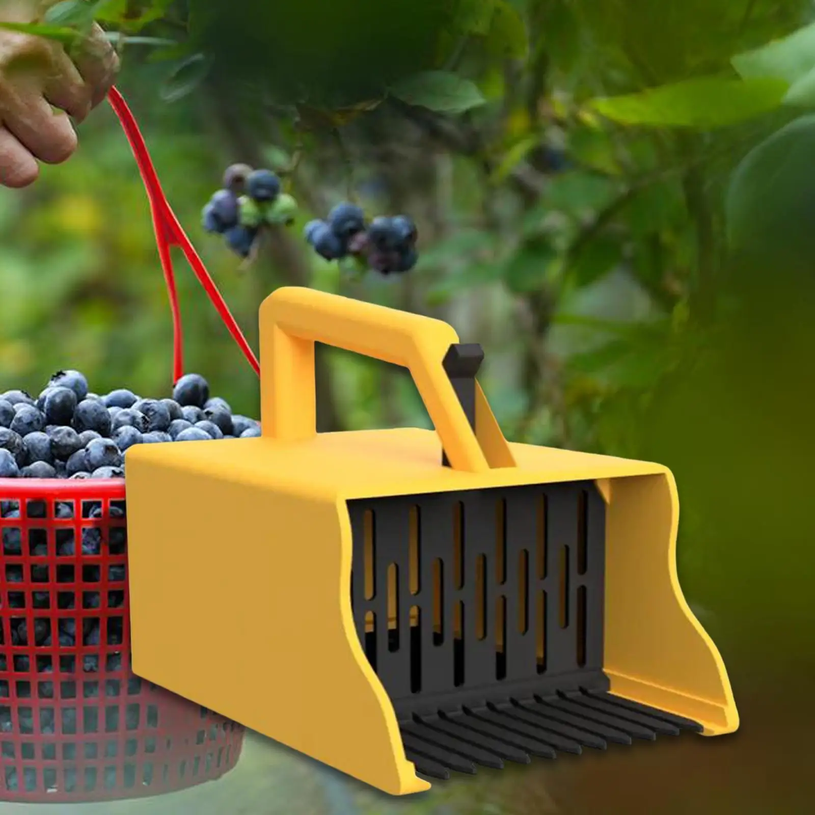 Blueberry Picker Blueberry Rake Scoop for Currants Huckleberries Redcurrants
