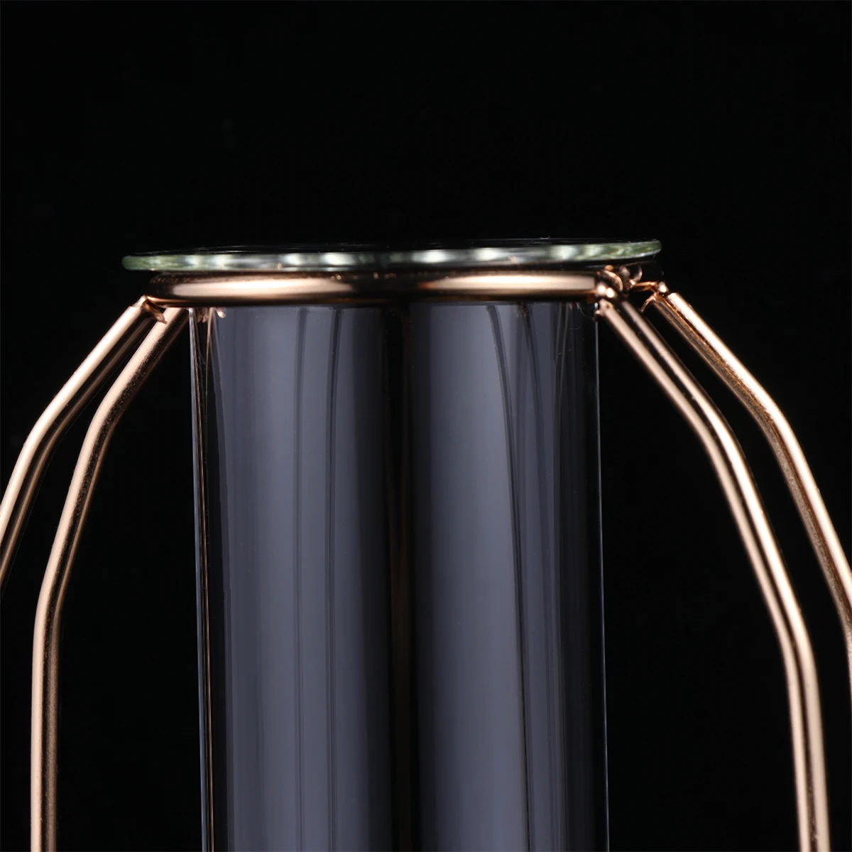 

Glass Tube Vase Metal Frame Hydroponics Planter Flower Tube for Home Decoration Wedding Party Gift Flower Planter