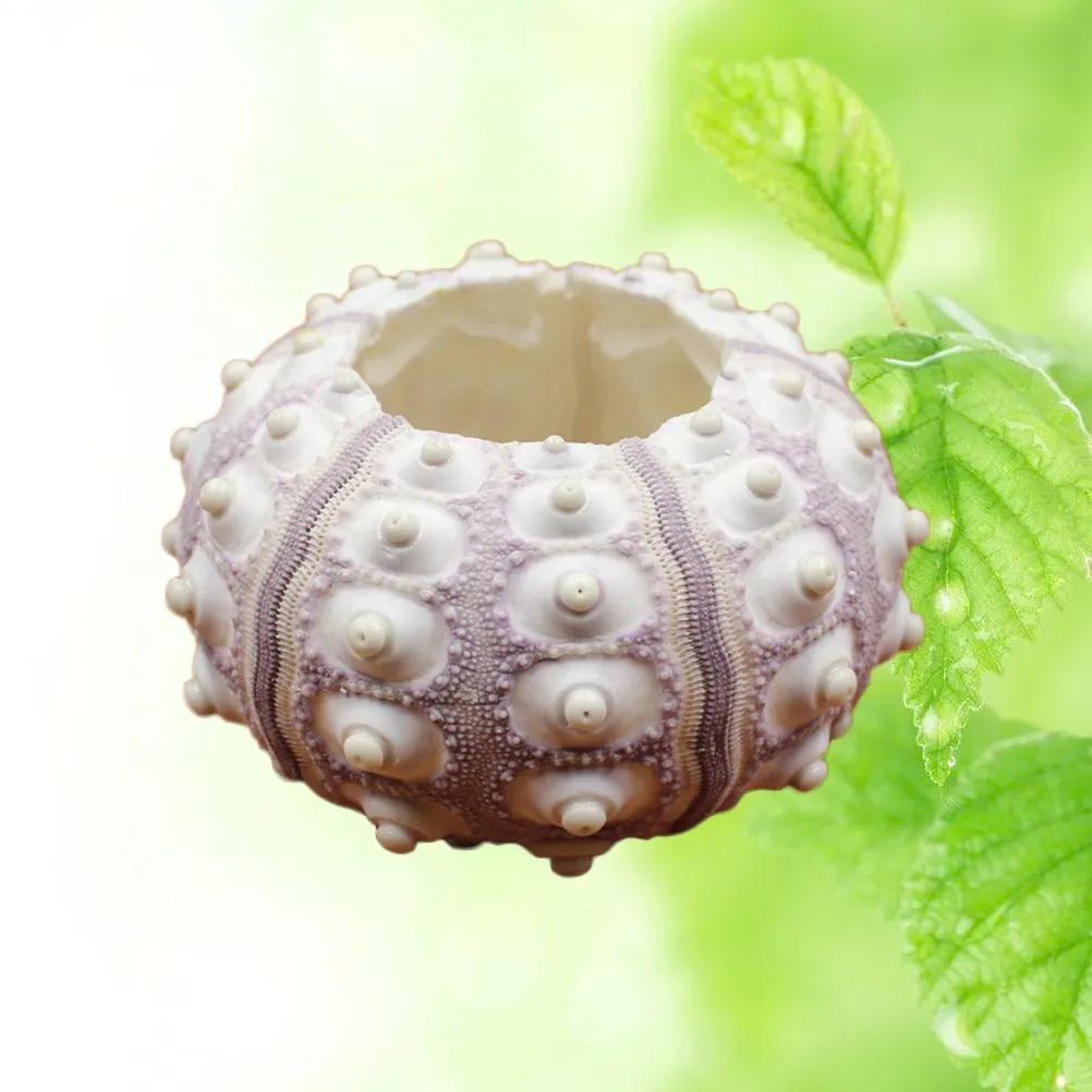 2Pcs Air Plant Stand Unique Small Ceramic Pineapple Holder Decorative Flower Pot for Home Office Desktop Window Balcony Bonsai