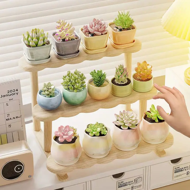 Wood Display Riser Stand Ladder Plant Shelf Flower and Herb Display Holder Rack Perfume Organizer Figure Dolls Display Cabinet