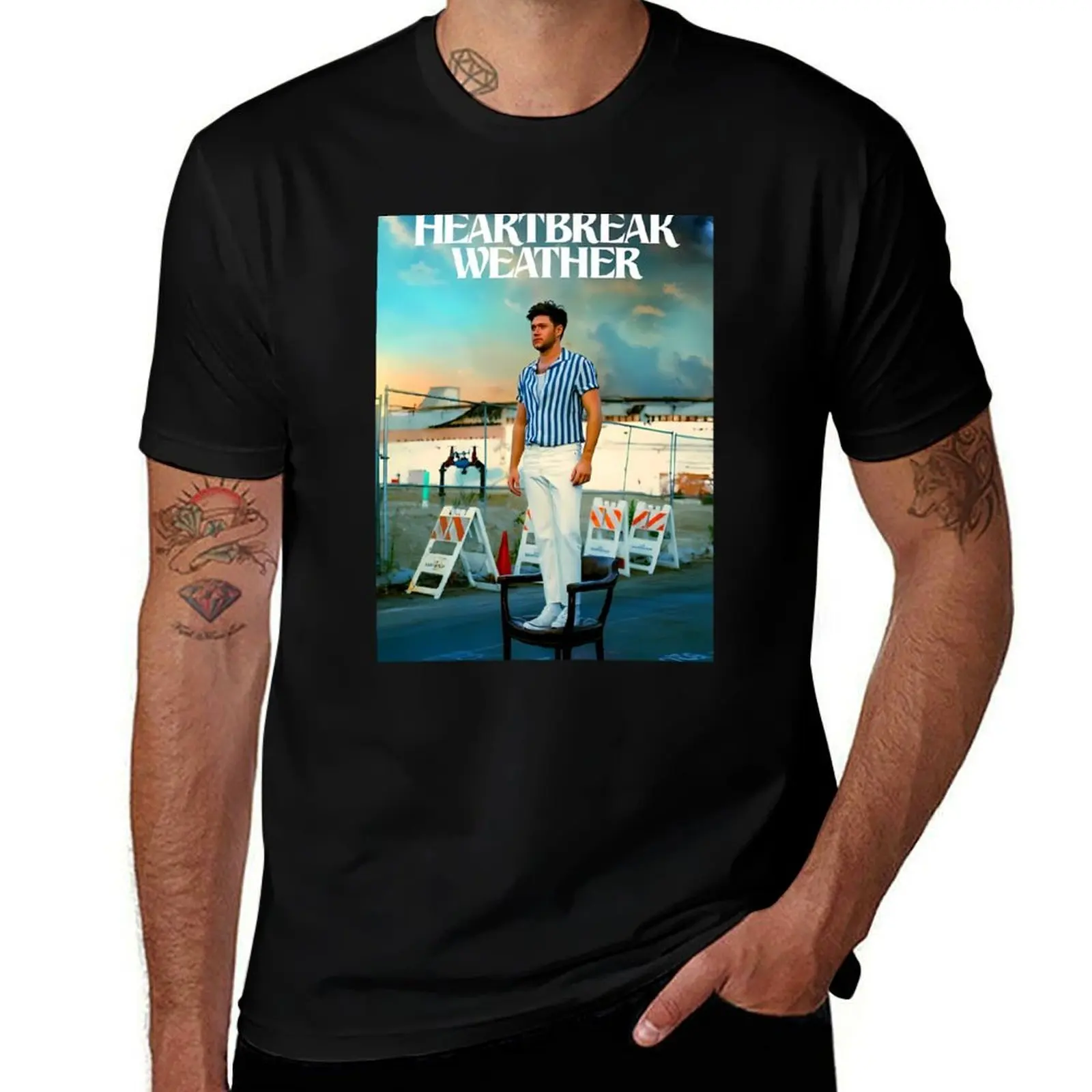 

Niall Horan T-Shirt plain anime clothes baggy shirts anime shirts men