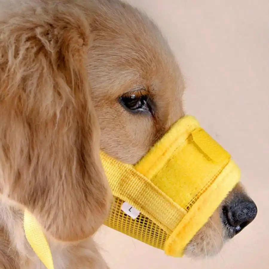 Thumbnail 3 - #24 Latest Pet Muzzles Offers