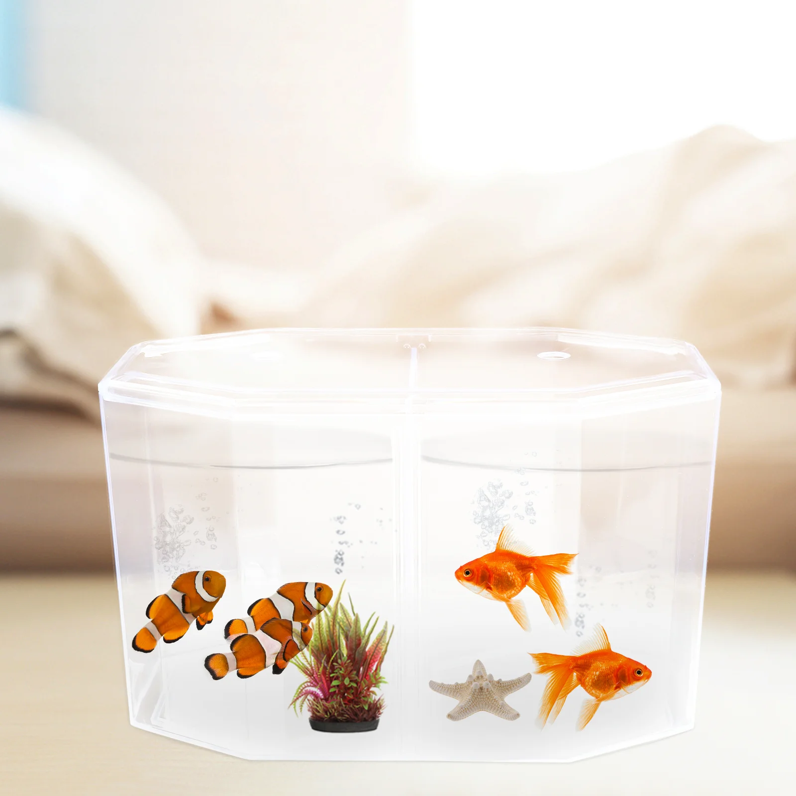 

Octagonal Fish Tank Goldfish Breeding Container Shrimp Small Aquarium Octopus Divider Clear