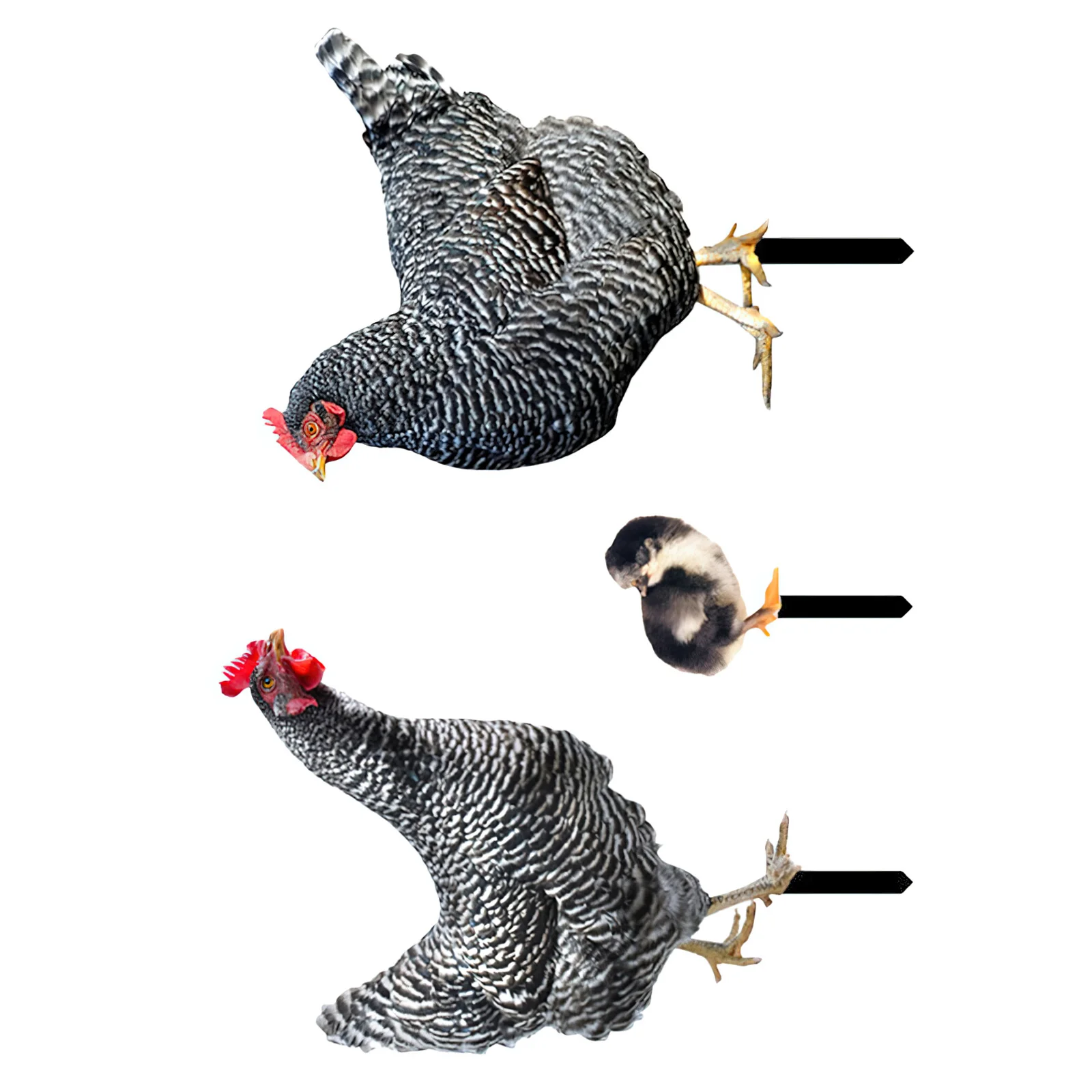 

3pcs Garden Decoration Stake Outdoor Lawn Decor Yard Ornament Chicken Insert Rustic Farmhouse Style Backyard Hen Garden