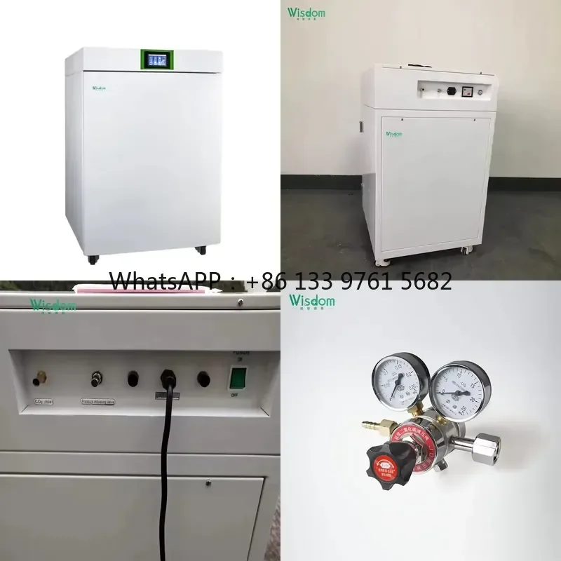 WSQ WISDOM Large Capacity LCD Carbon Dioxide Co2 Cell Culture Incubator Laboratory and Hospital
