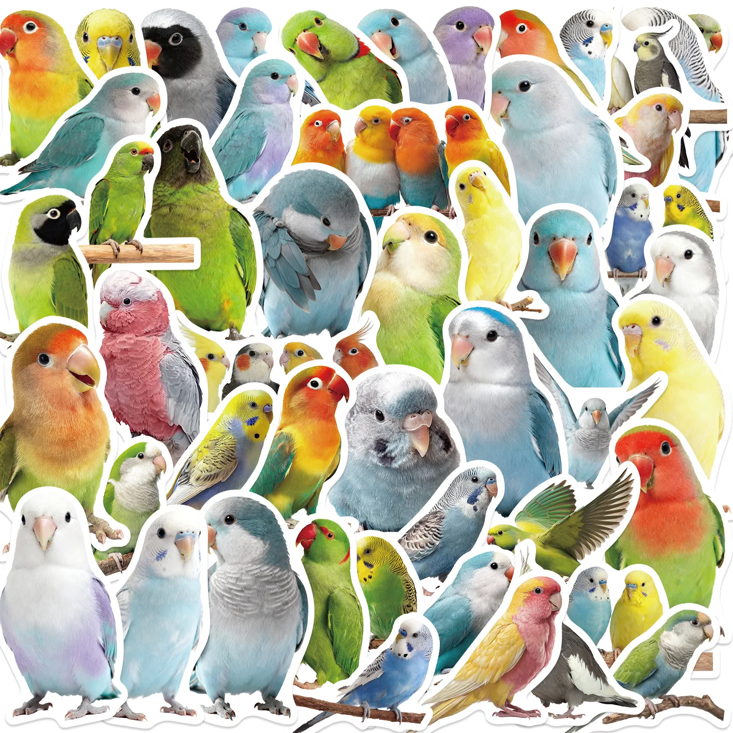 50-100 Stück Niedliche Cartoon-Papageien Graffiti-Aufkleber, Wasserfeste Vinyl-Sticker für Gitarre, Notizbuch, Gepäck DIY-Dekoration