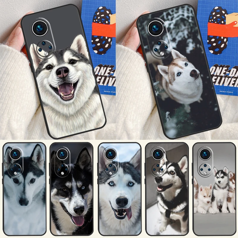 Siberian Husky Sled…
