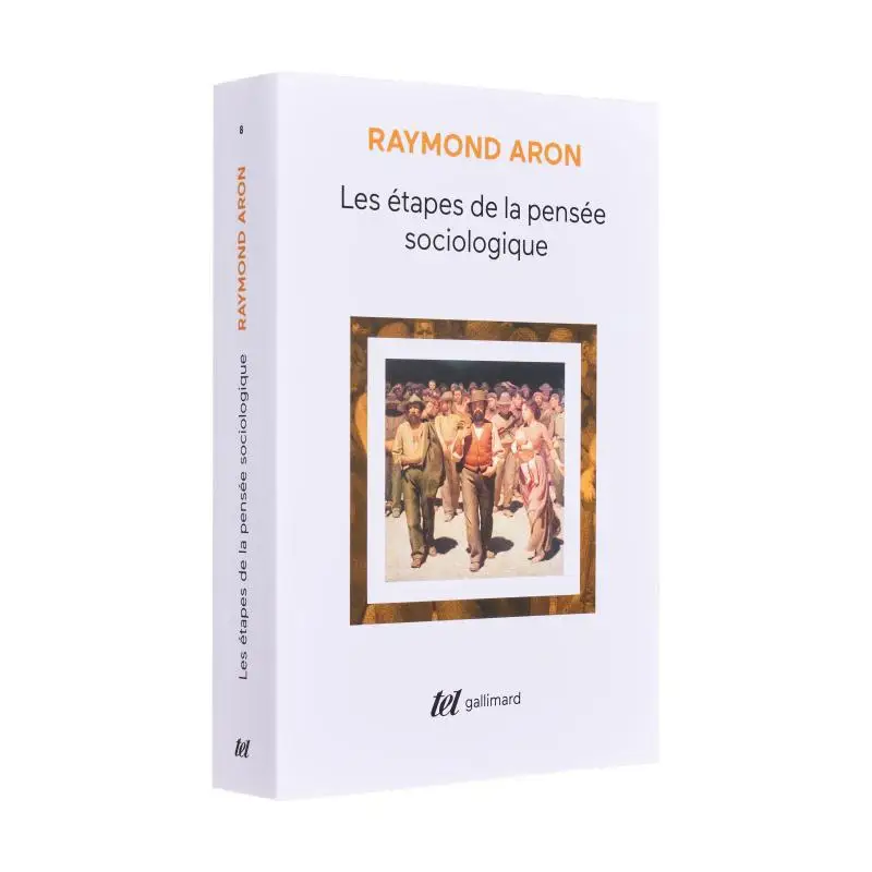 

The Stages Of Sociological Thinking Raymond Aron Gallimard 9782070295180 Book