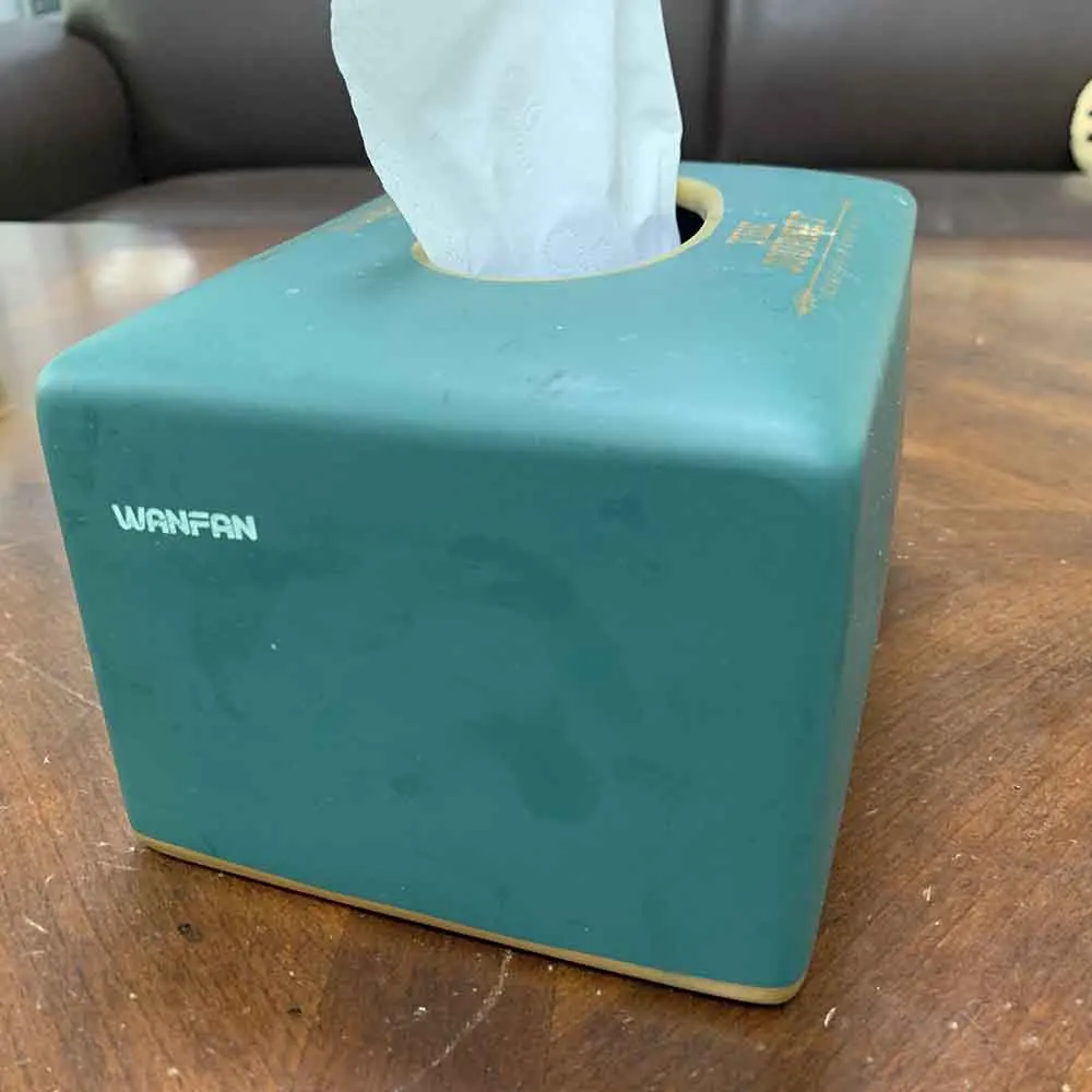 Living Room & Bathroom Tissue Box Holder