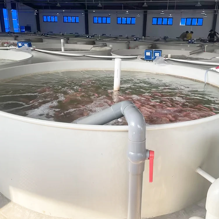 2025Commercial Shrimp Pond for Backyard Crawfish Farming Profitable Aquaculture Equipment
