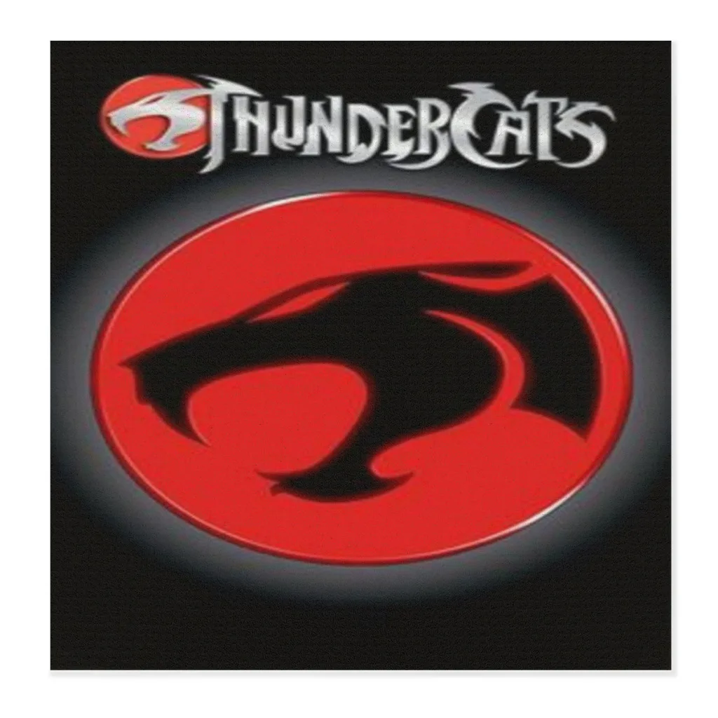 

Thundercats Cartoon Free Shipping Drain Pad Non-slip Super Absorbent Mats Wear resistant Dish-washing Dry Pad Decor