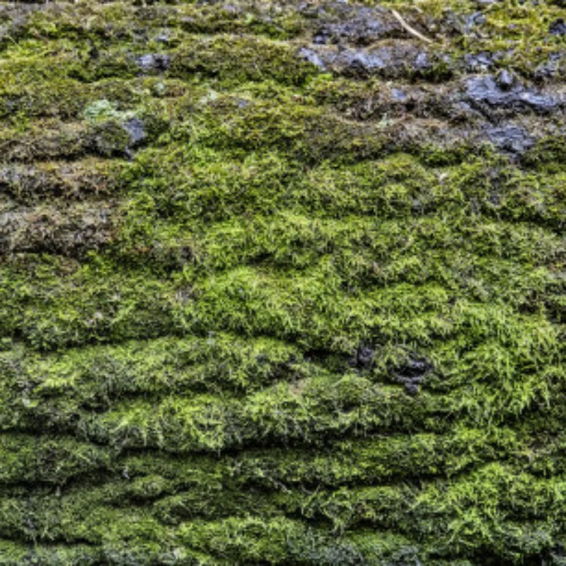 

Серия MN86 1:12 G-Wagon RC Гусеничный корпус OEM — темно-зеленые детали для обновления «сделай сам» для MN86K/MN86KS/MN86S — масштабная конструкция