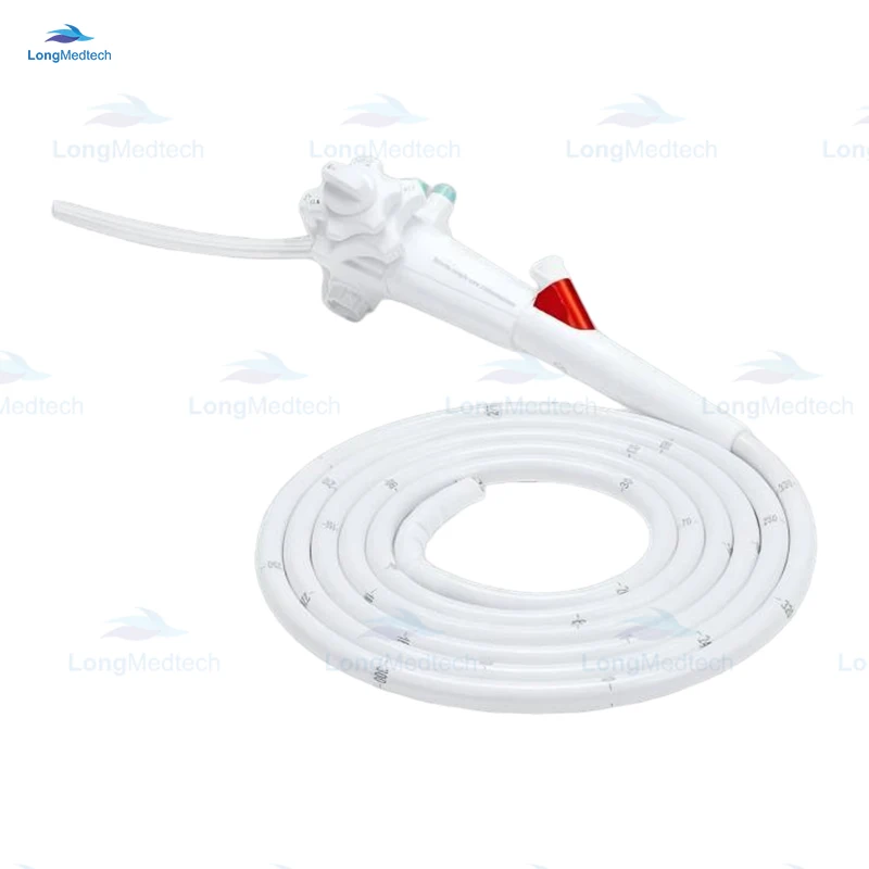Veterinary Flexible Sing-use Flexible Ureteroscope Price Disposable Video Endoscopic Camera for Urology