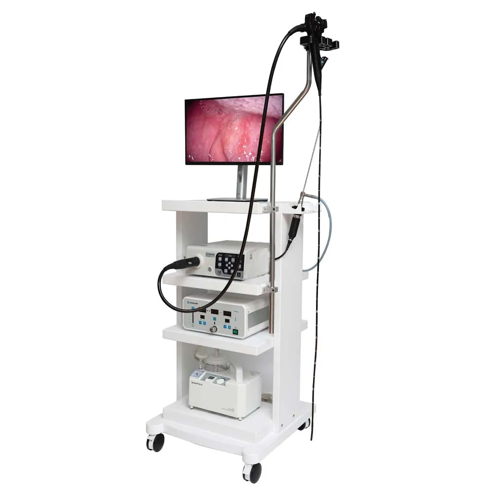 Medical Flexible Endoscopes Suitable for Gastrointestinal Veterinary Use in Animals Surgical Endoscopy Cameras