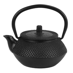 Teiera in ferro pentola in ghisa con infusore in acciaio inossidabile teiera in ghisa giapponese Oolong Tea Puer bollitore per tè 300ML