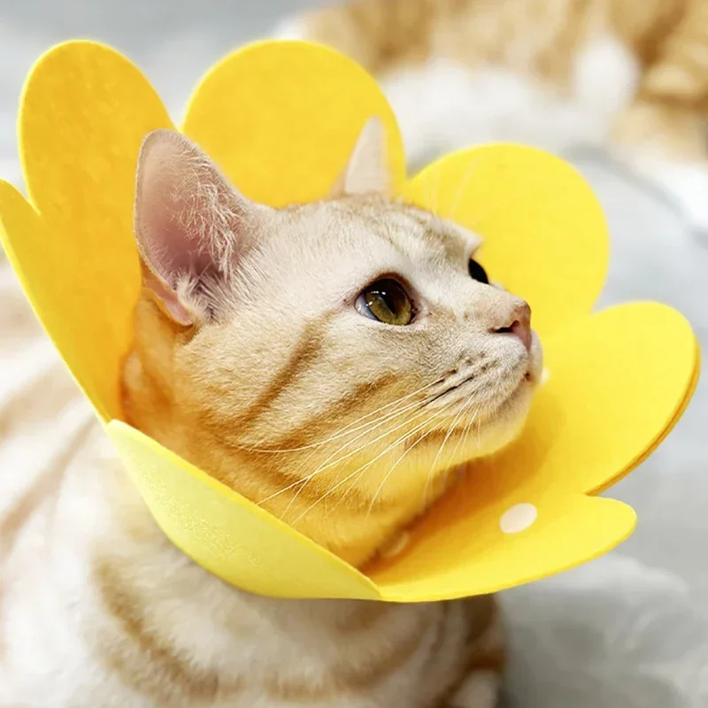 Dog Cat Elizabethan Collar Pet Protective Neck Cone Anti Bite Wound Care Recovery Collar for After Surgery Healing Daily Use