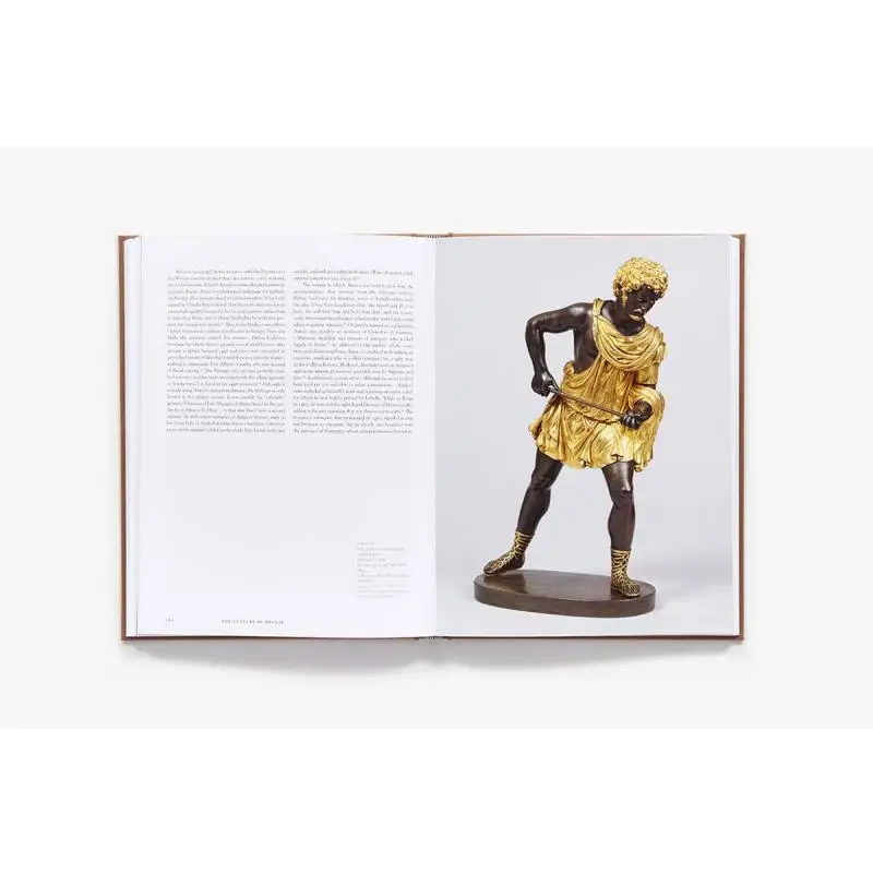 ثقافة صنع ومعنى البرونز في عصر النهضة الإيطالية متحف بيتا فيكتوريا ألبرت 9781851779659 كتاب #3