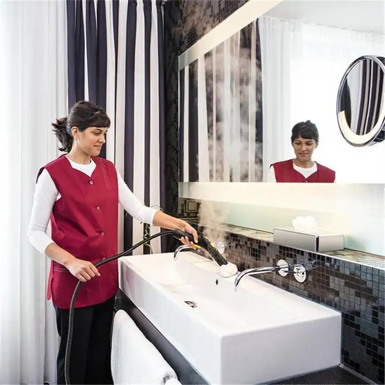 SGV 6/5 Import High-temperature Steam Cleaner