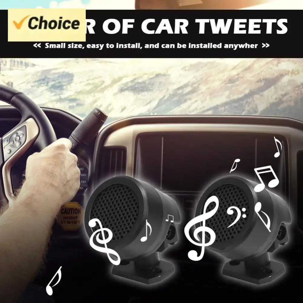 2Pcs Car Audio Speakers High Efficiency 12V 500W Auto Audio Sound Black Loudspeaker Loud Black Dome Tweeter for Car Audio System