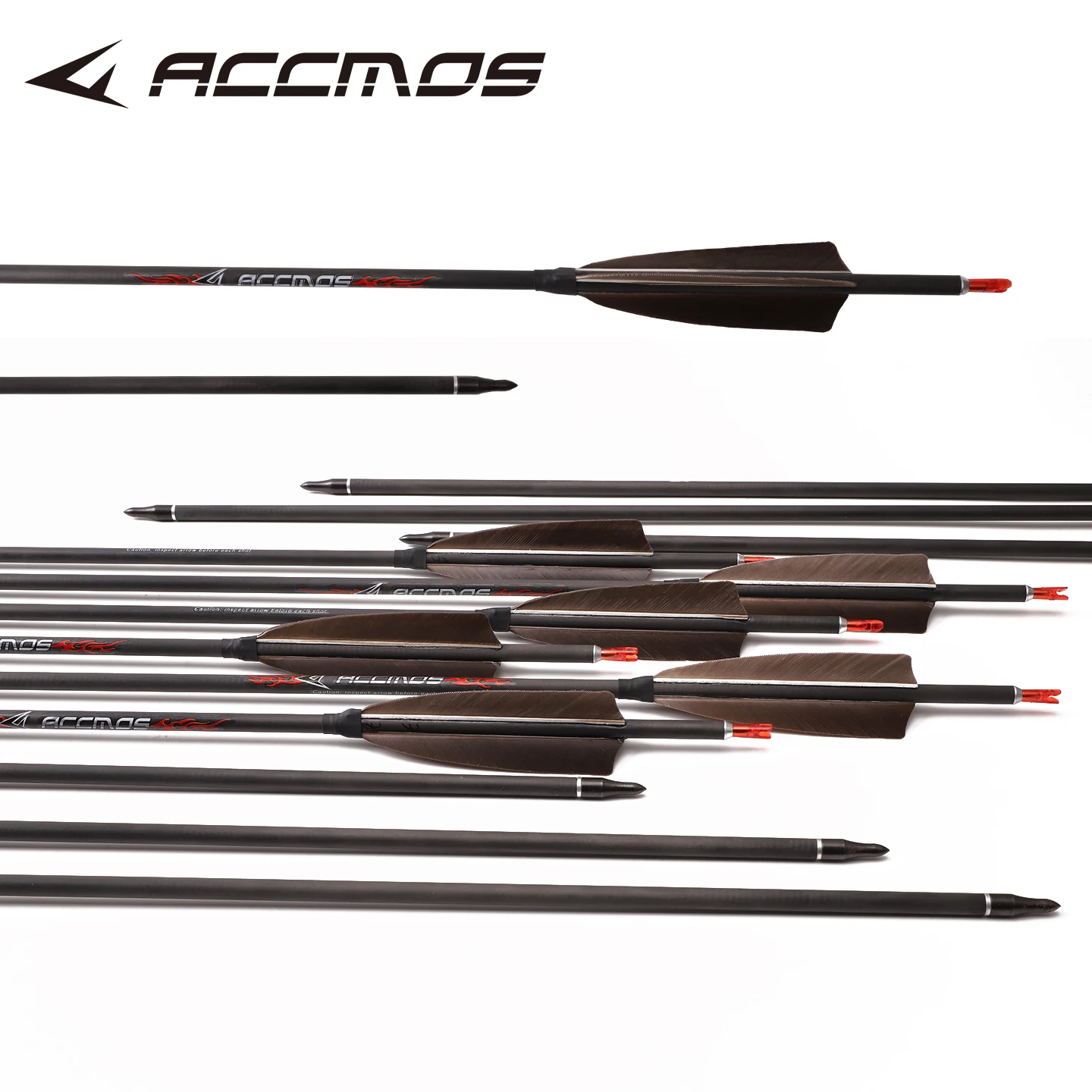 Spine700 (лука, 600, 500, 800) купить от 1 547,00 руб. Охота на 1rub.ru