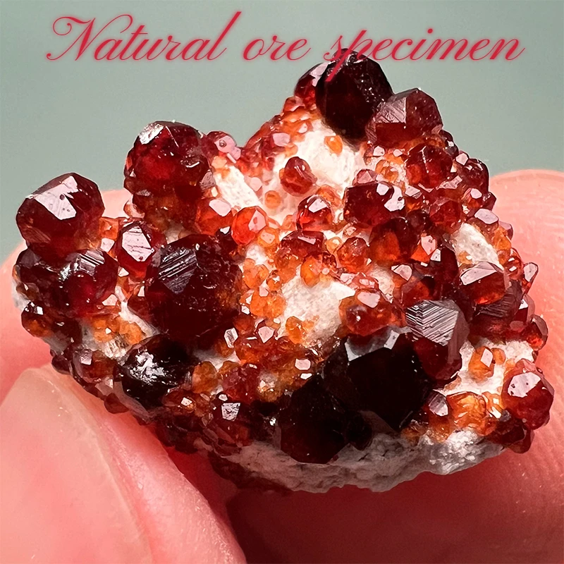 

Natural Iron Aluminum Garnet Ore Specimen Geology Popular Science Teaching Mineral Crystal Gem Collection Ornaments Gift Craft