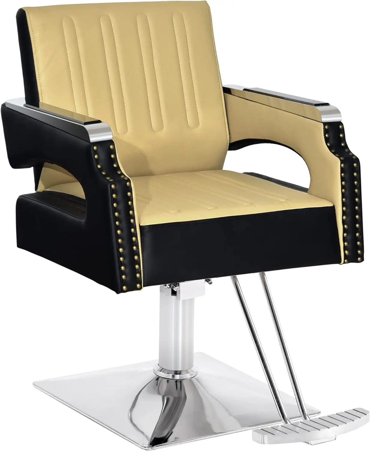 BarberPub Salon Chair for Hair Stylist, All Purpose Classic Hydraulic Barber Styling Chair, Beauty Spa Equipment 6154-8817C