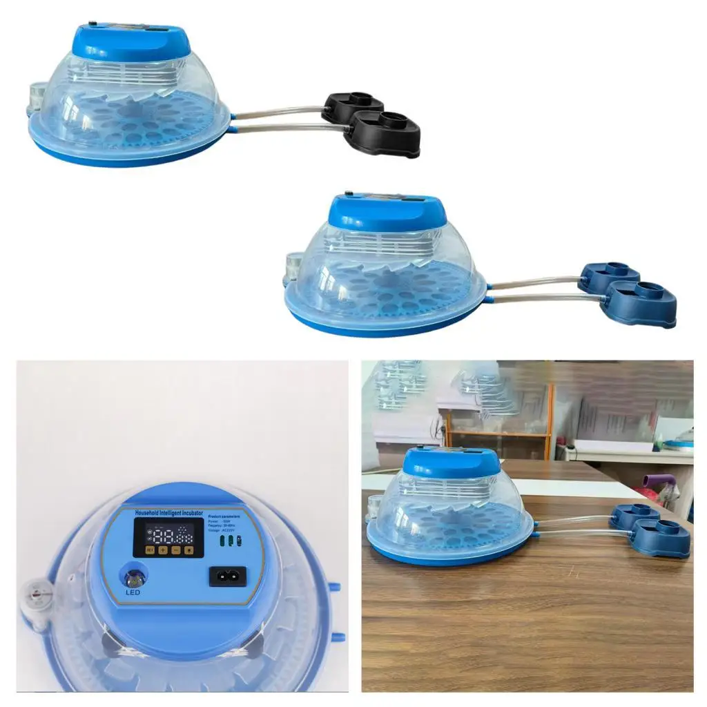 

Egg Incubator Detachable Chassis Poultry Brooder Automatic Temperature Control Poultry Hatcher for Duck Quail Farm Family Use