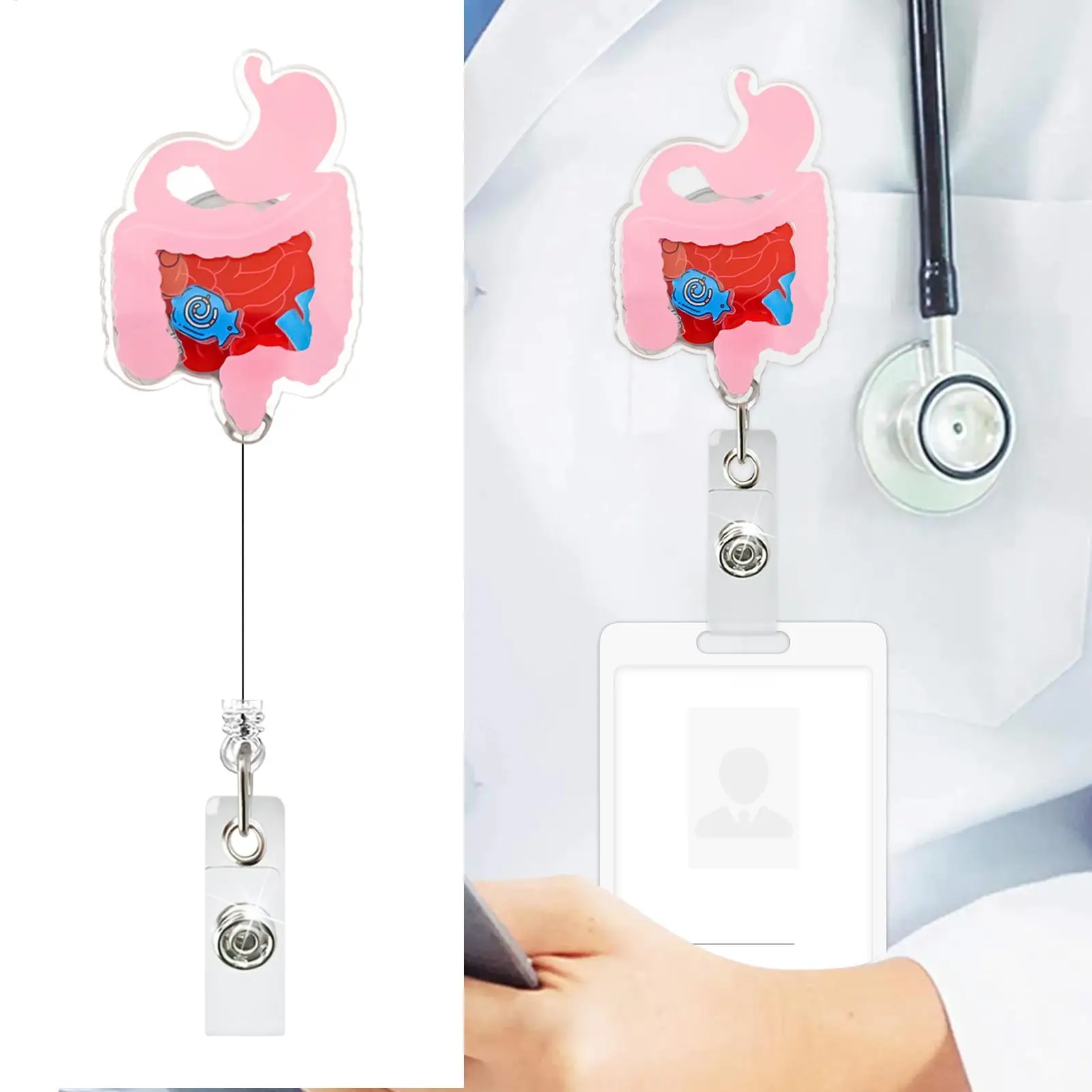 

Badge Holder Clip Vertical Id Holder Hanger Organ Shake Toy Retractable Clip For Staff Workplace School Conference Nurses Doctor