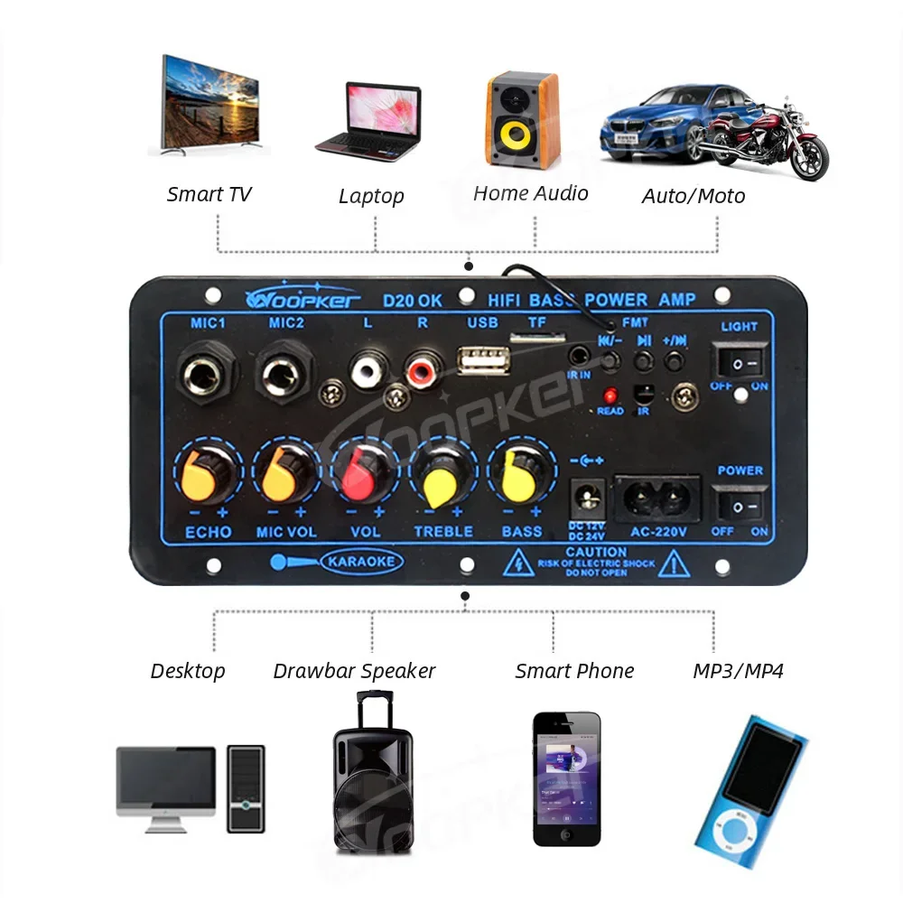 WOOPKER D20 블루투스 앰프 보드, Hifi 서브우퍼 앰프 모듈, 듀얼 마이크 지지대, USB FM TF, DIY 가정용, 60-200W