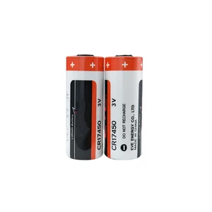 2 piezas originales nuevos para Eve CR17450 Batería de manganeso de litio 3V Medidor de agua Medidor PLC PLC 12 mejores ventas CR17450 - №12