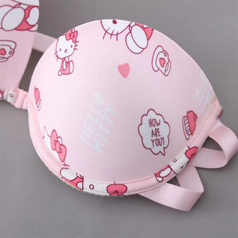 Sanrio Hello Kitty Bra Push Up Bras Women Ultra Lace Bralette Permeability  Seamless Maternity Bra Adjustable Beauty Back Bra