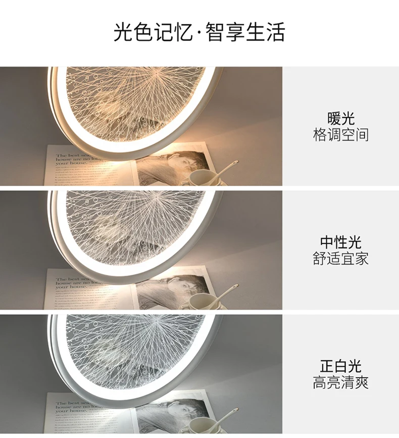 Creative Nordic LED Ceiling Light Dining Living Room Round