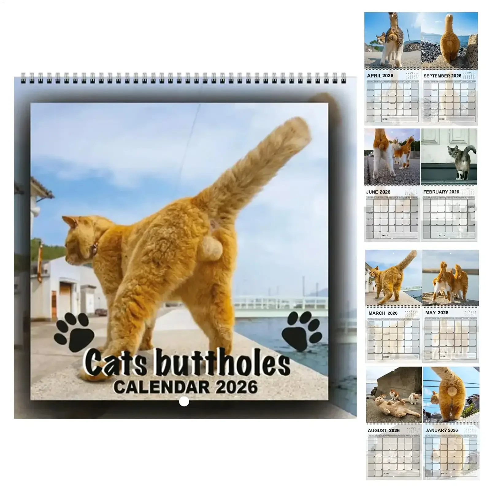

2026 Cat Butt Calendar 12 Monthly Funny Cat Tail Wall Calendar Family Planner Scheduling Tool For Living Room Bedroom