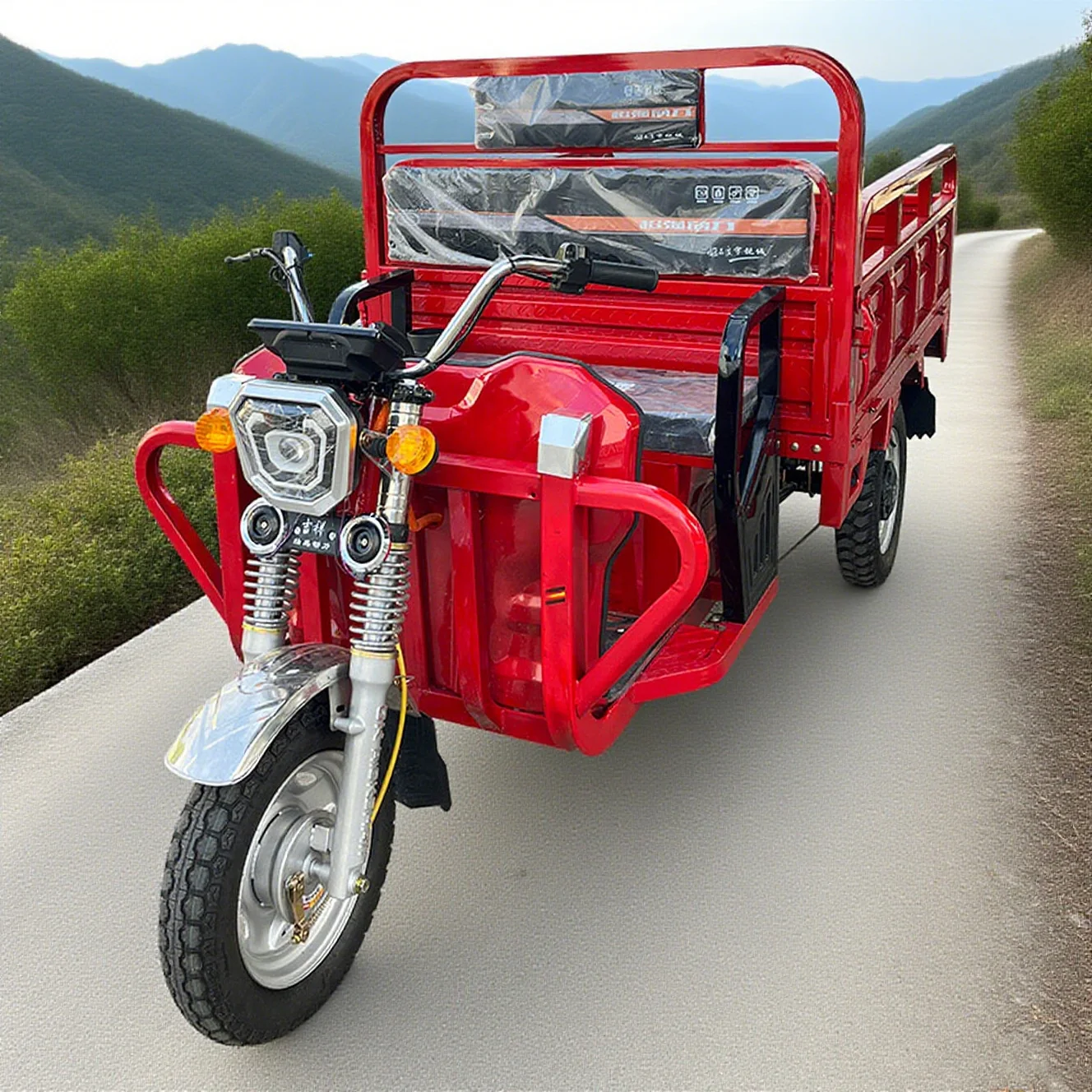 

Китай Электрический трехколесный велосипед для взрослых Электрический трехколесный велосипед Электрический трехколесный велосипед 2-местный