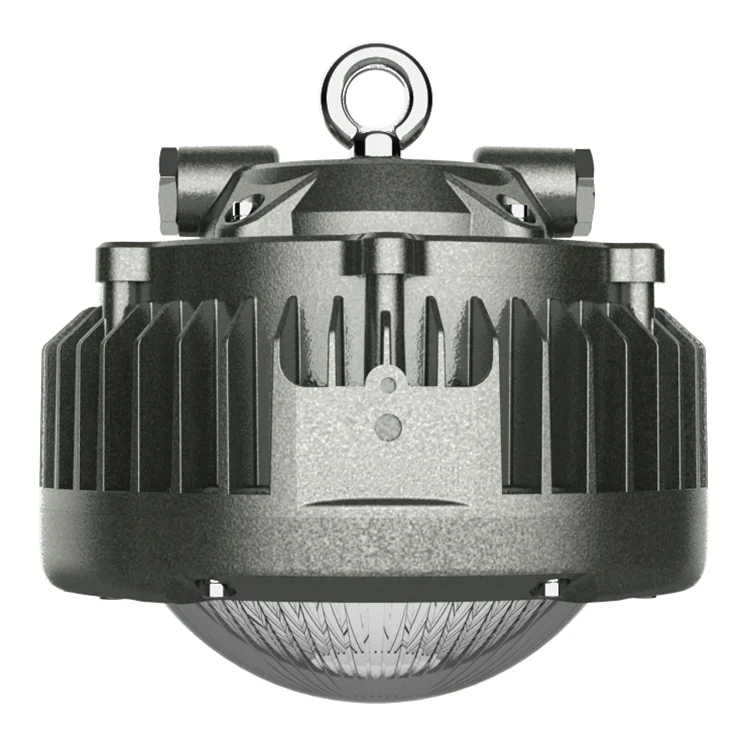 Explosion Proof Grade Laneway Lamp LED Down Light Ceiling Light   Light  Lamp