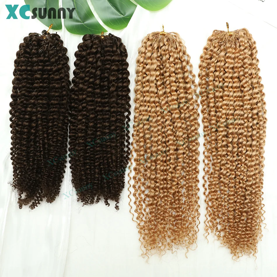 

Feather Crochet Braids Human Hair Kinky Curly Invisible Knots Pre Separated Knotless Crochet Human Hair Extensions Color 4 27 30