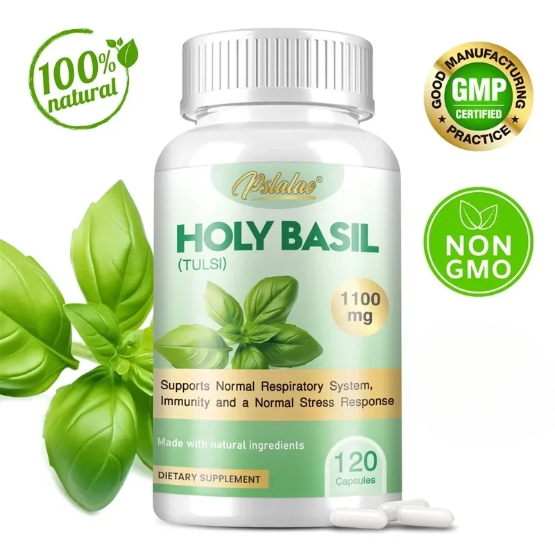 Holy Basil - Antioxidant, Stress Relief, Digestive Health Support, Cognitive Function Improvement