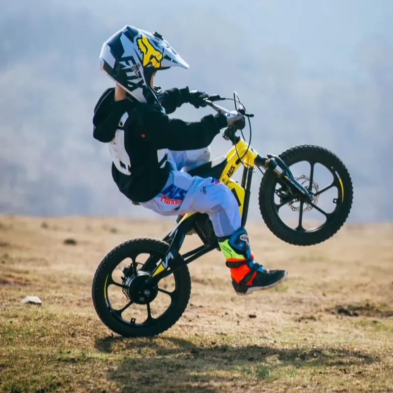 653W 33KM/H Electric Adventure Bike for Kids Youth Aluminum Frame Full Suspension Hydraulic Disc Brakes Off-Road All-Terrain
