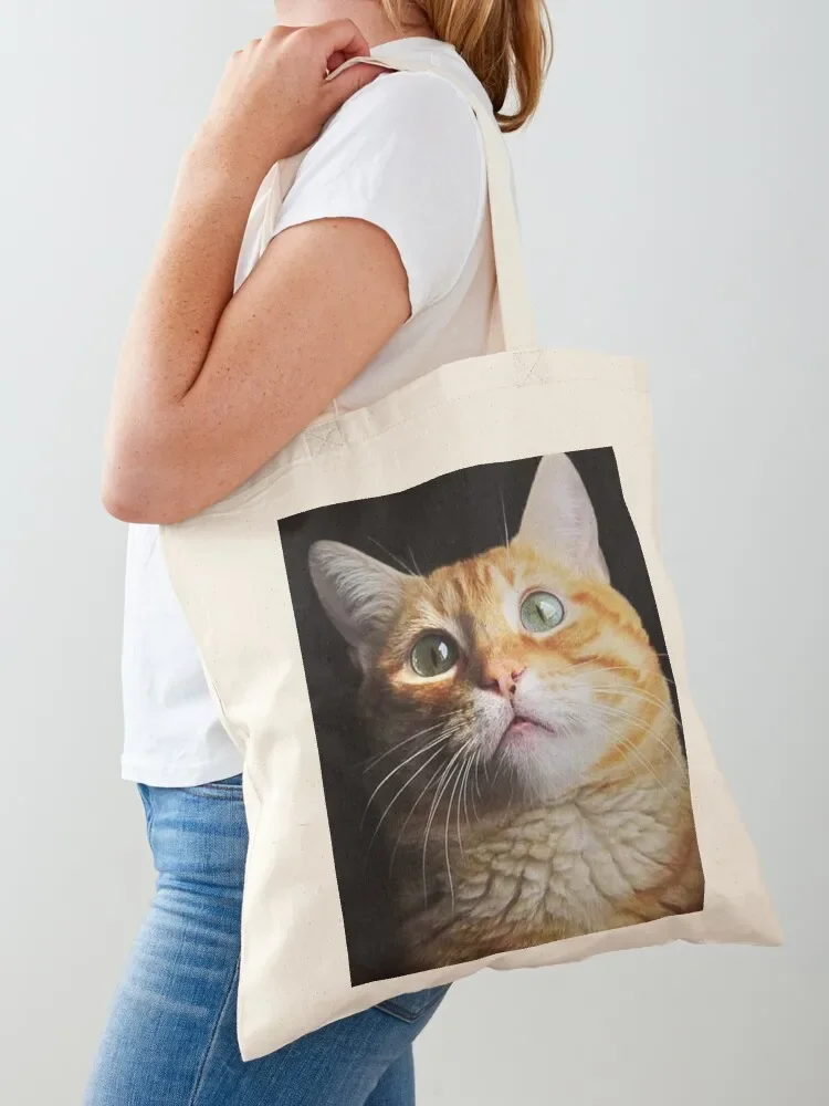 

Feline Tote Bag women bag shopping bags foldable bag for beach handbag